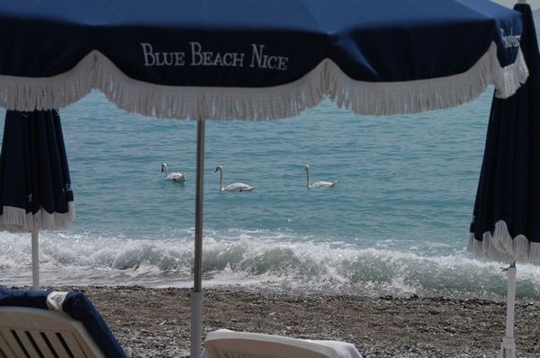 Plage Blue Beach nice